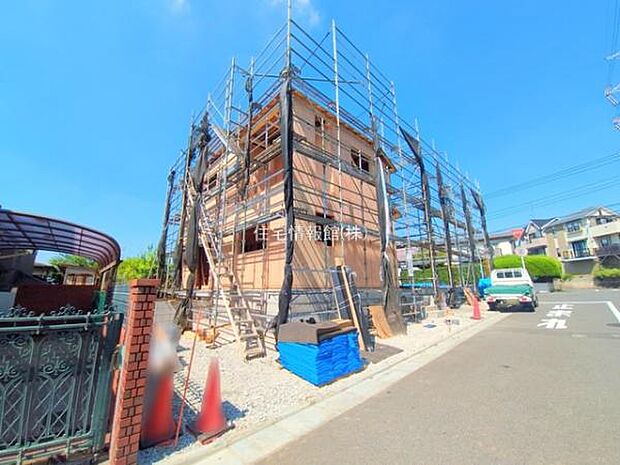 現地写真です。