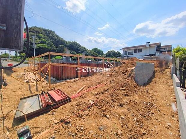 現地写真です。