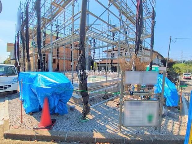 現地写真です。