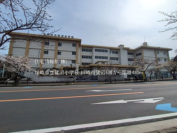 川崎市立鷺沼小学校まで約480m(徒歩6分)