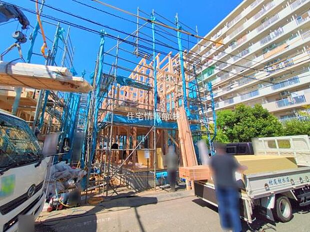 現地写真です。