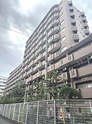 モンテベルデ横浜