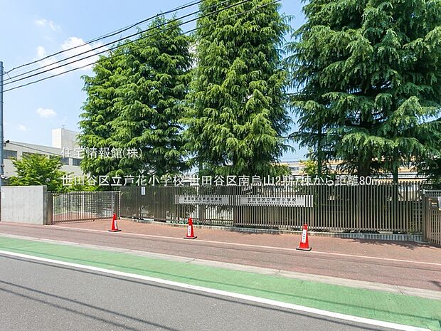 世田谷区立芦花小学校まで約80m(徒歩1分)