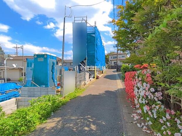 現地写真です。