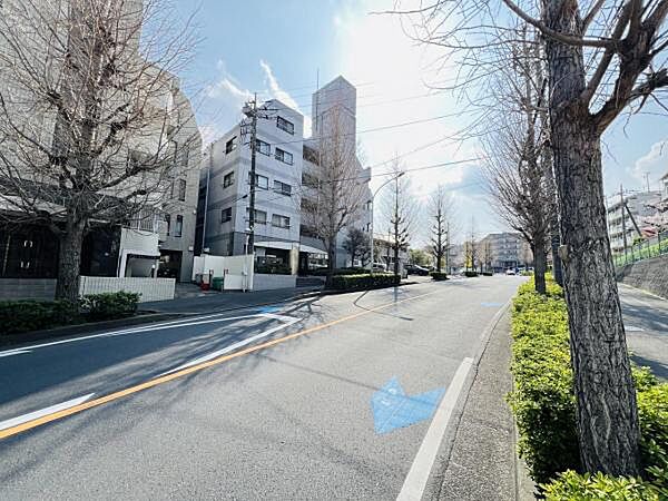 ぜひ現地をご覧くださいませ。