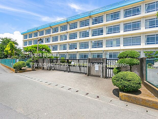 平塚市立神田中学校まで約890m(徒歩12分)