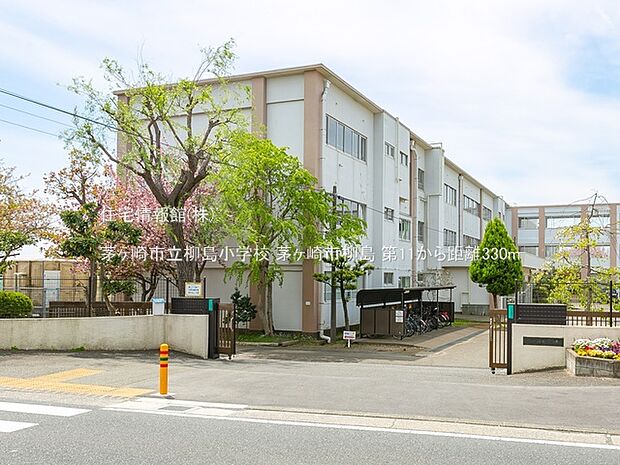 茅ヶ崎市立柳島小学校まで約330m(徒歩5分)