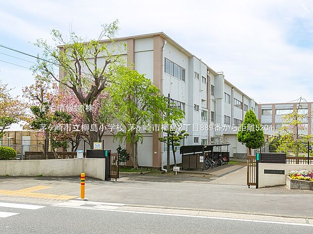 茅ヶ崎市立柳島小学校まで約520m(徒歩7分)