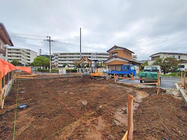 現地写真です。