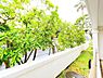 その他：お住まいからの眺望です。