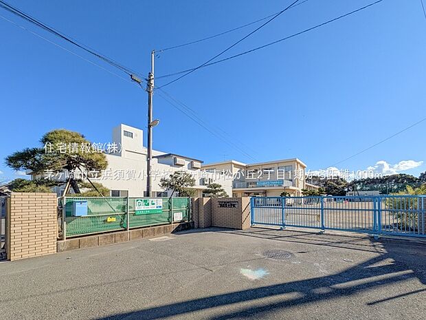 茅ヶ崎市立浜須賀小学校まで約1000m（徒歩13分）