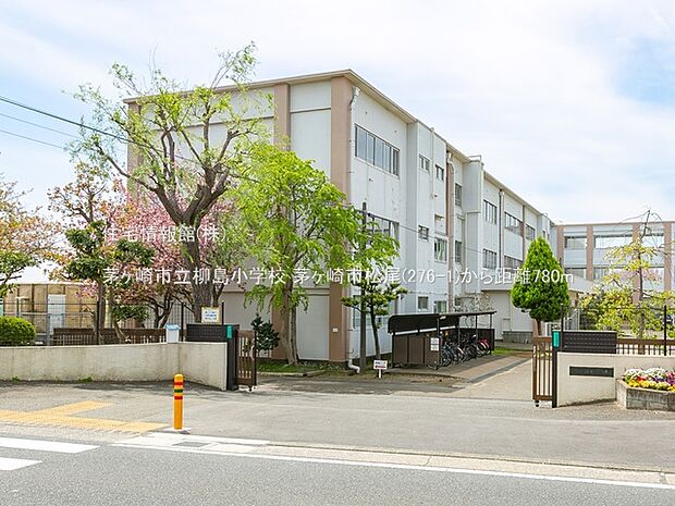 茅ヶ崎市立柳島小学校まで約780m（徒歩10分）