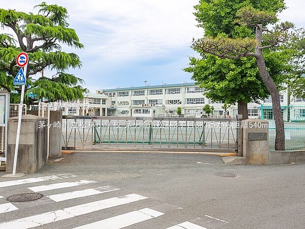 茅ヶ崎市立松林小学校まで約540m（徒歩7分）
