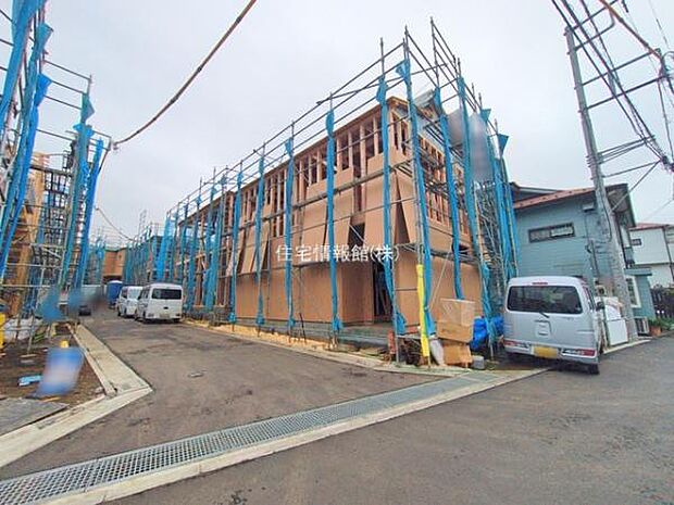 現地写真です。