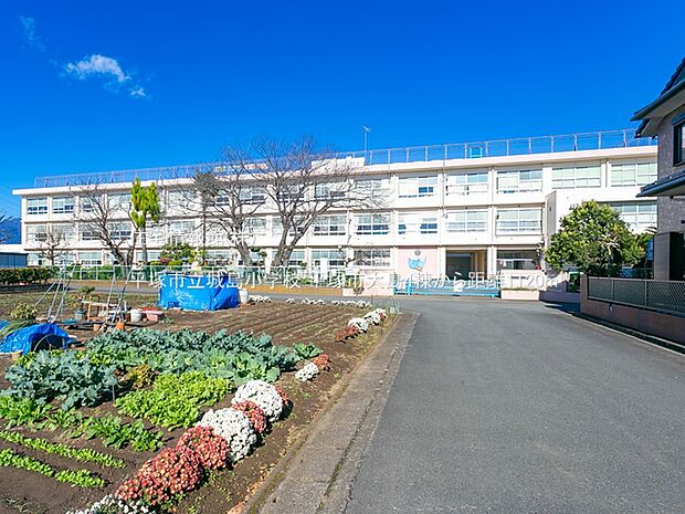 平塚市立城島小学校まで約1120m（徒歩14分）