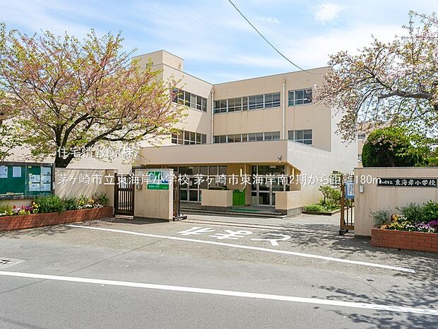 茅ヶ崎市立東海岸小学校まで約180m(徒歩3分)
