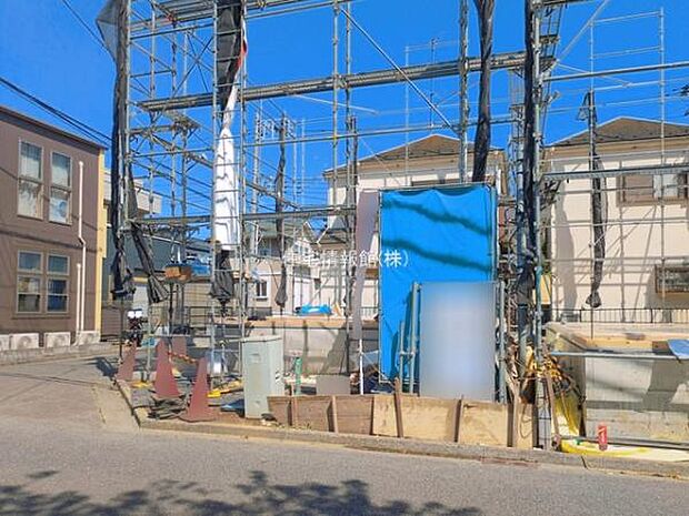 現地写真です。