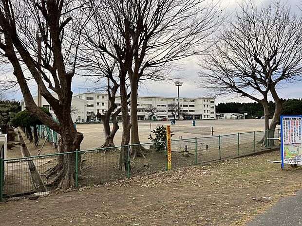 茅ヶ崎市立中島中学校まで約1300m（徒歩17分）