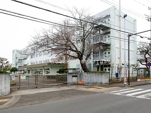 茅ヶ崎市立鶴が台小学校まで約210m(徒歩3分)