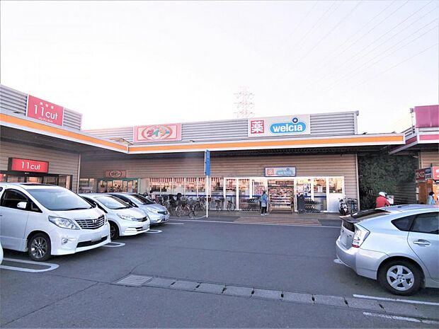 ウエルシア平塚河内店まで約320m(徒歩4分)