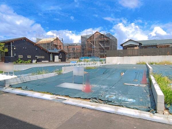 現地写真です。