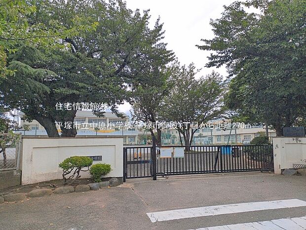 平塚市立中原小学校まで約270m(徒歩4分)