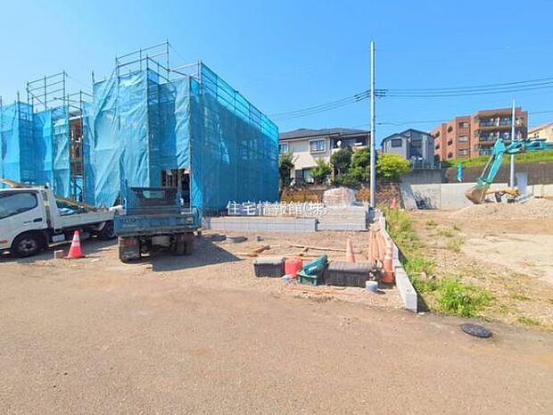 現地写真です。