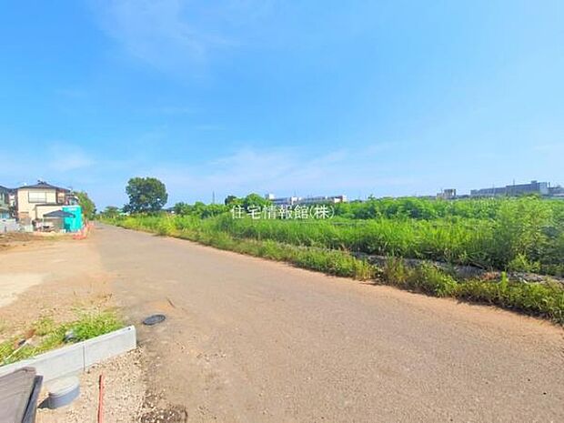 現地写真です。