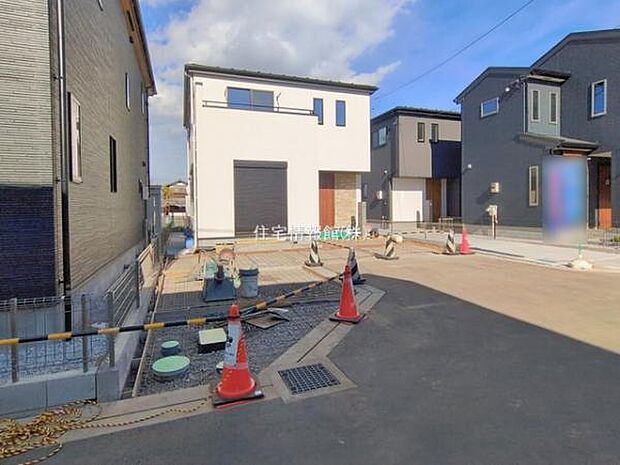 現地写真です。