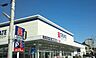周辺：クリエイトＳ・Ｄ 海老名河原口店まで約1300m（徒歩17分）