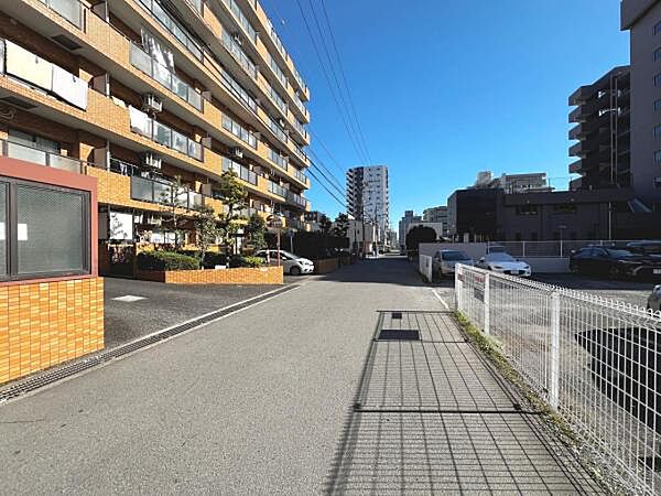 現地写真です。