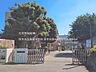 周辺：厚木市立藤塚中学校まで約400m（徒歩5分）