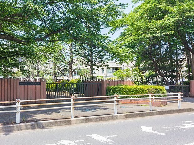 相模原市立大野北中学校まで約700m（徒歩9分）