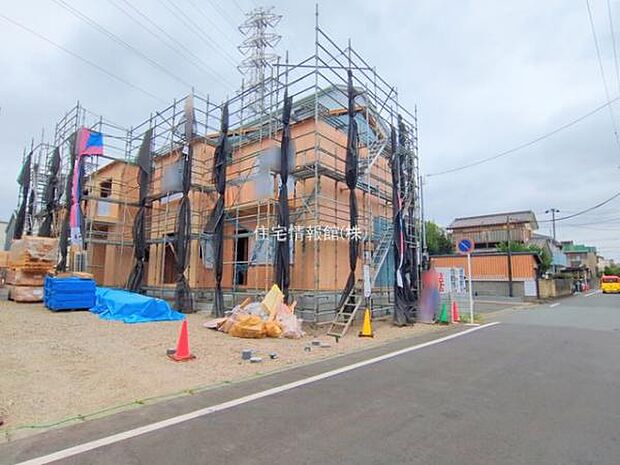 現地写真です。