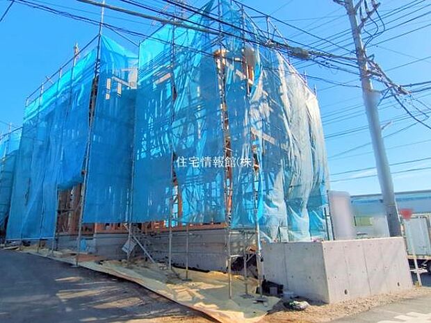 現地写真です。