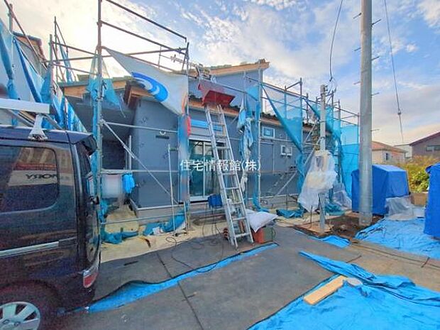 現地写真です。