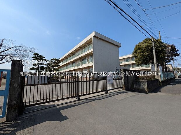 相模原市立並木小学校まで約210m（徒歩3分）
