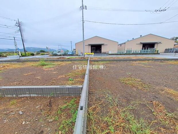 現地写真です。