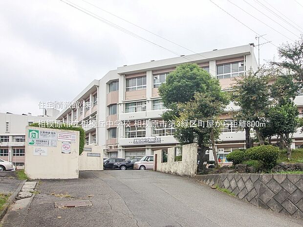相模原市立相模丘中学校まで約800m(徒歩10分)