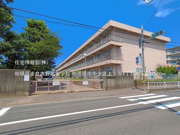 相模原市立大野北小学校まで約800m（徒歩10分）