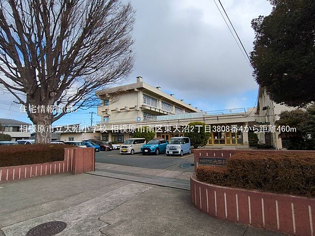 相模原市立大沼小学校まで約460m（徒歩6分）