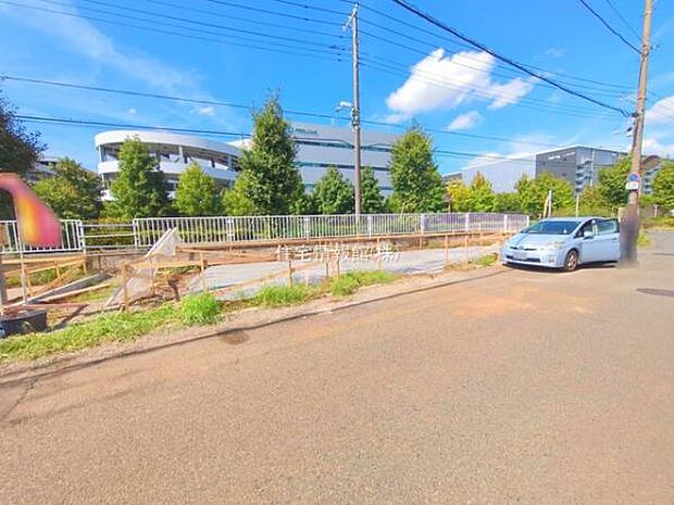 現地写真です。