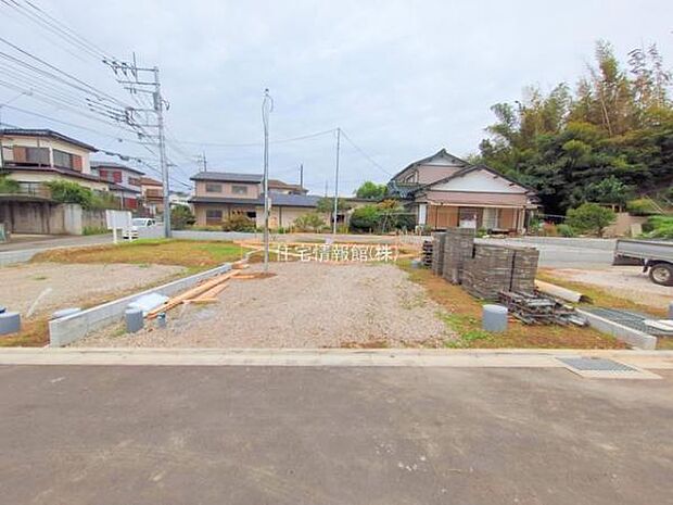 現地写真です。