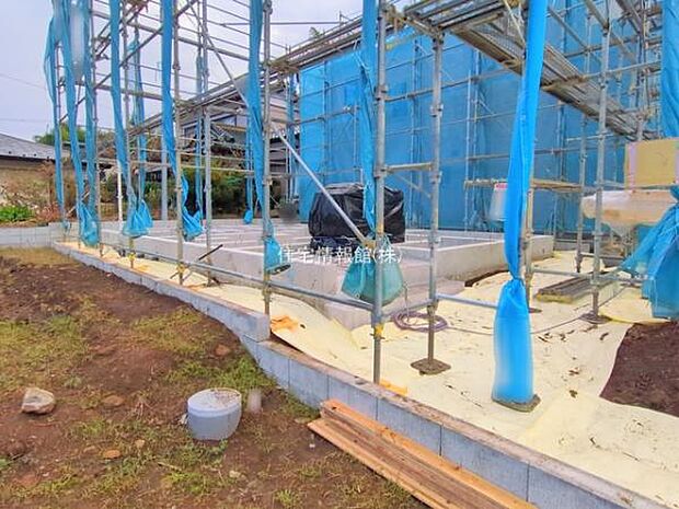 現地写真です。