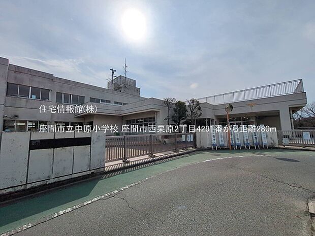座間市立中原小学校まで約280m(徒歩4分)