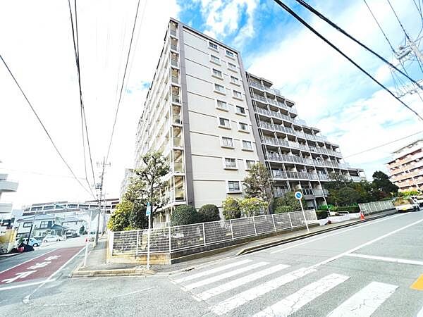 ぜひ現地をご覧くださいませ。