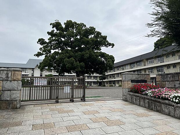 相模原市立新磯小学校まで約800m（徒歩10分）