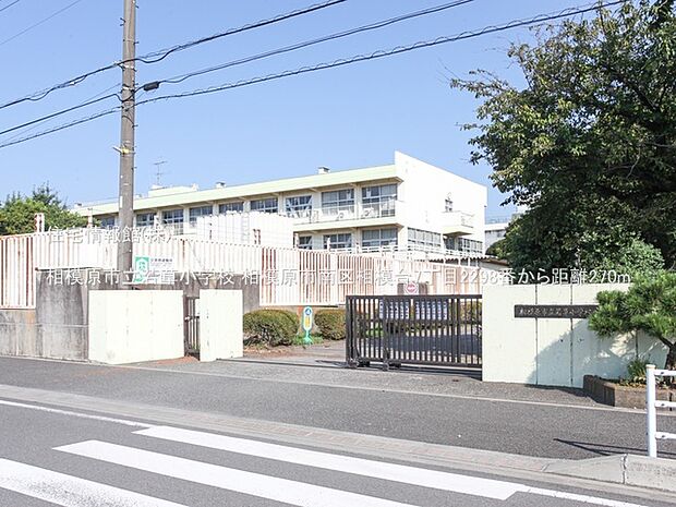 相模原市立若草小学校まで約270m(徒歩4分)