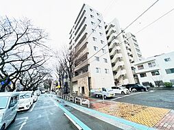 サンアリーナ相模原西門桜通り