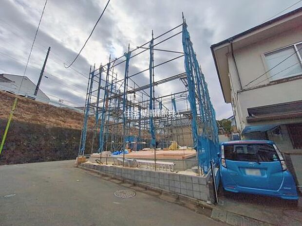 現地写真です。